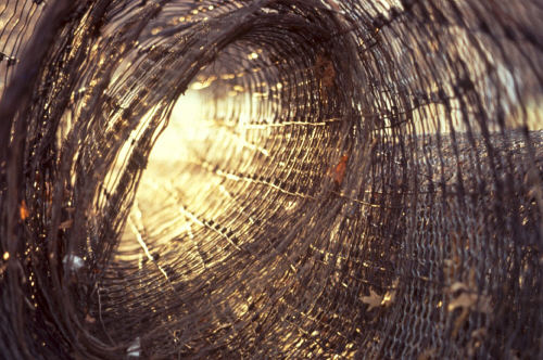 Photograph - Vortex